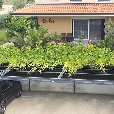 Appartamento Ema Rovigno