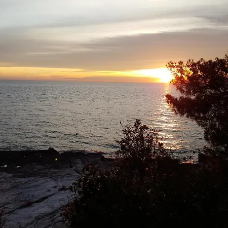 Ema Rovinj